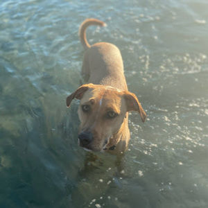 Meet your Posher, Deborah